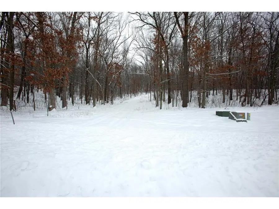 Lot's 4,5 & 6 Anderson Hill Lane, Boyceville, WI 54725 - #2