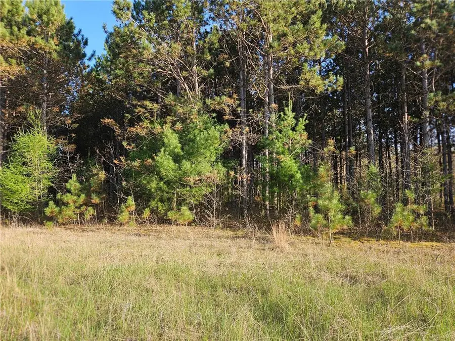 0 990th Avenue, Colfax, WI 54730 - Image #3