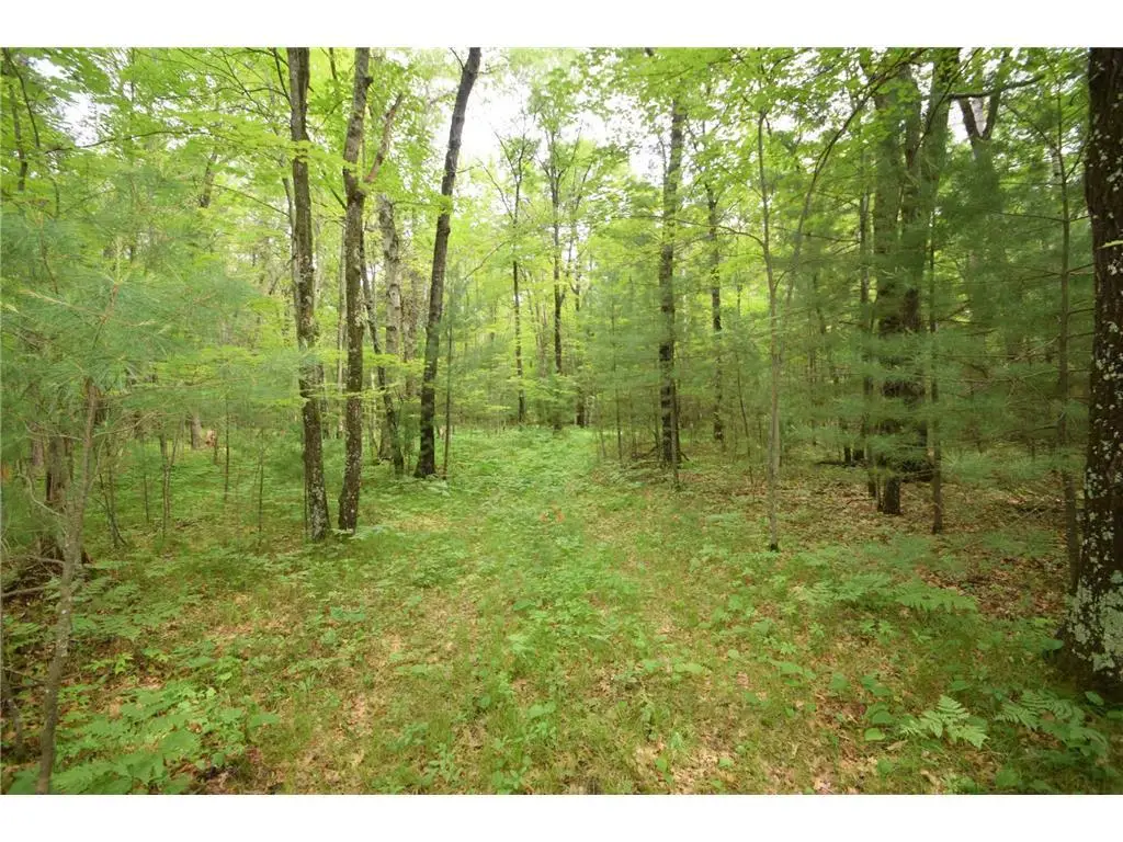 XXX Helsene Road, Webster, WI 54893 - Image #1