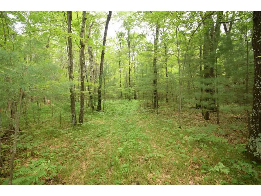 XXX Helsene Road, Webster, WI 54893 - Image #2