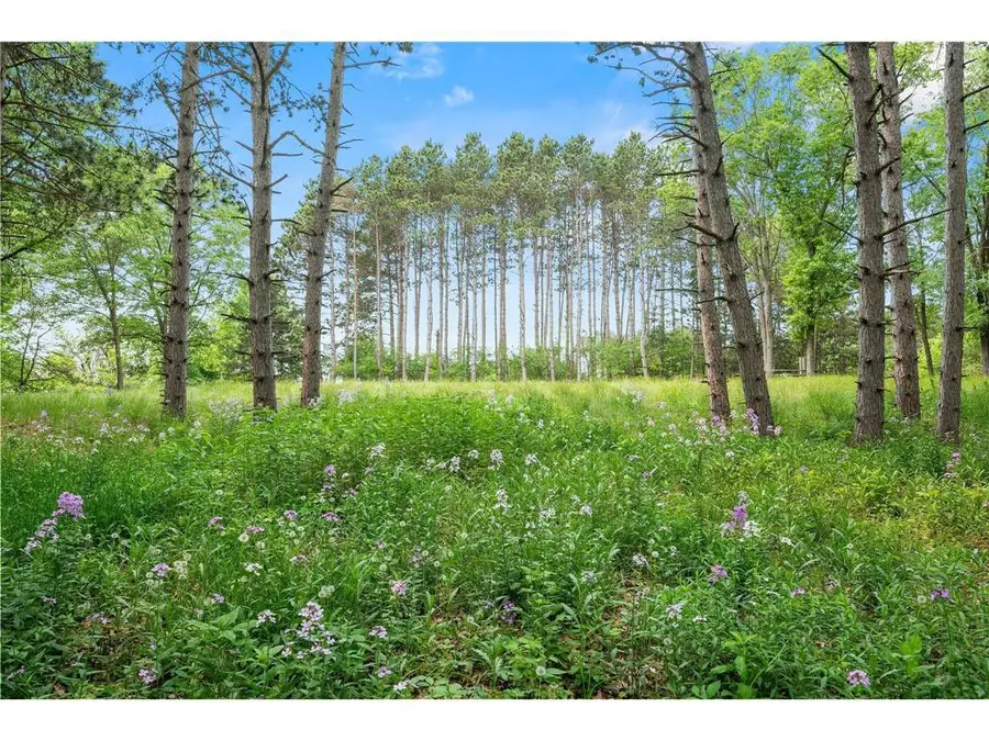 14557 661st Street, Wabasha, MN 55981 - Image #3