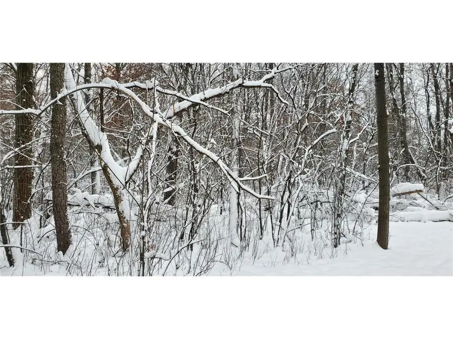 XXXX 50th Street, Somerset, WI 54025 - Image #3