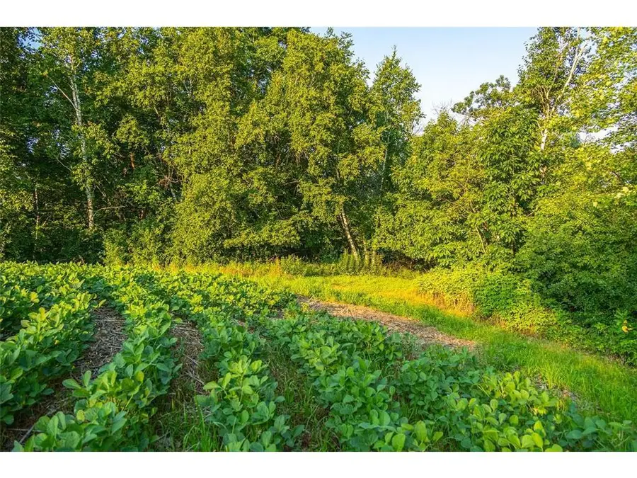 N34701 County Road S, Blair, WI 54616 - Image #3