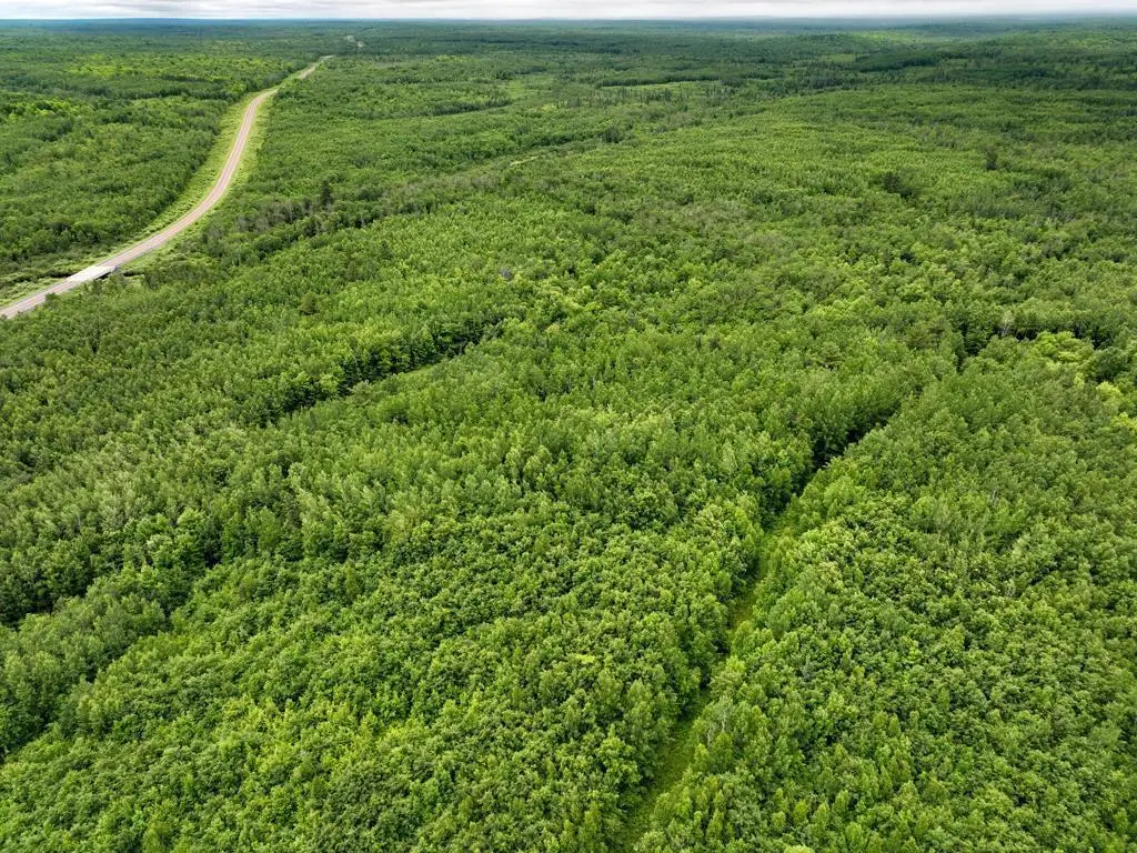 0000 State Highway 27, Barnes, WI 54873 - #1