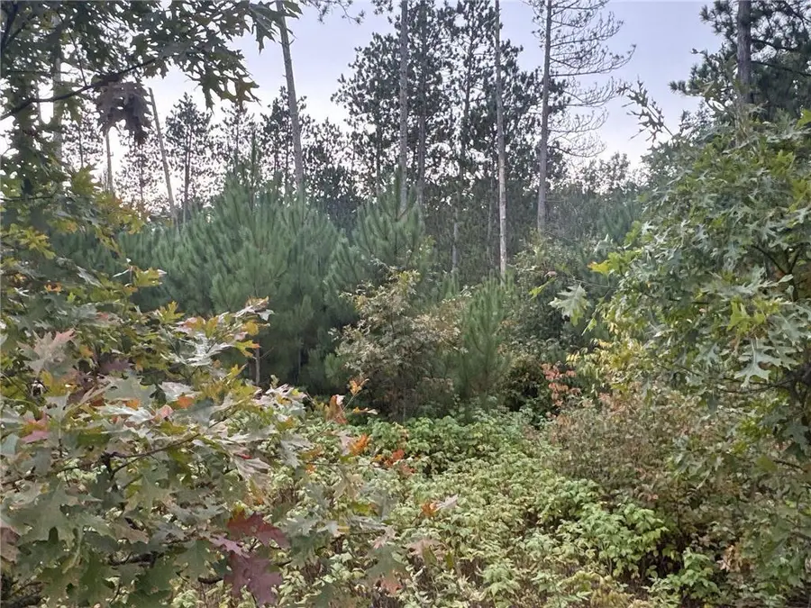 TBD Hayden Lake Road, Danbury, WI 54830 - Image #2