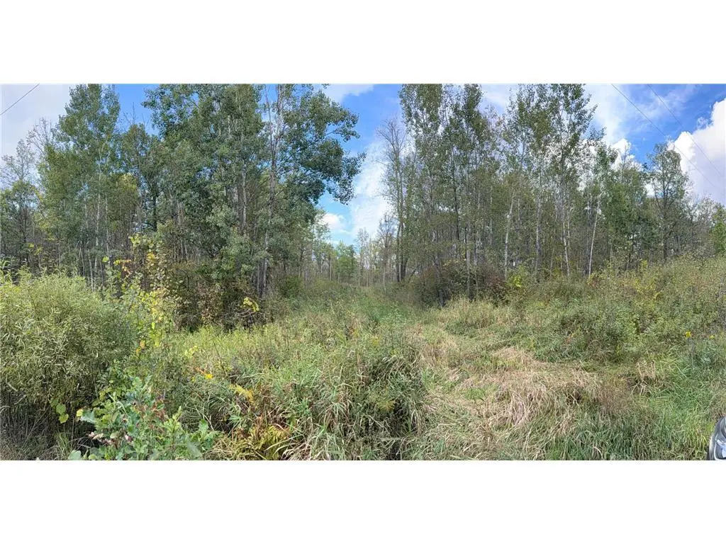 TBD 50th Street, Frederic, WI 54837 - Image #1