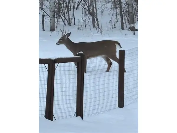 765 Hilltop Lane, Saint Croix Falls, WI 54024