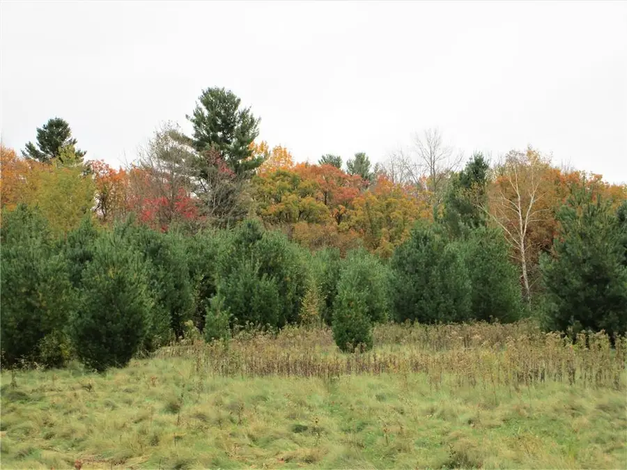 Parcel 2 90th Street, Frederic, WI 54837 - Image #2