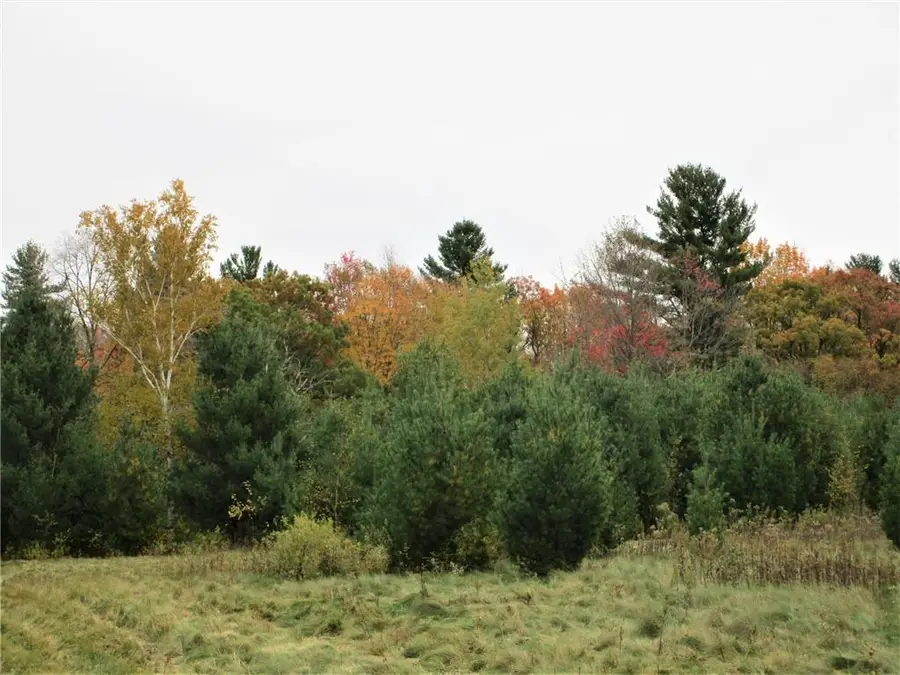Parcel 2 90th Street, Frederic, WI 54837 - Image #3