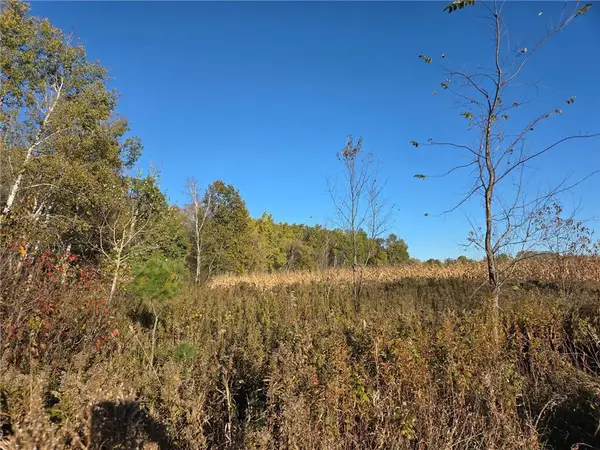 TBD Intersection of Hwy 48 & Hwy 25, Rice Lake, WI 548, Rice Lake, WI 54868