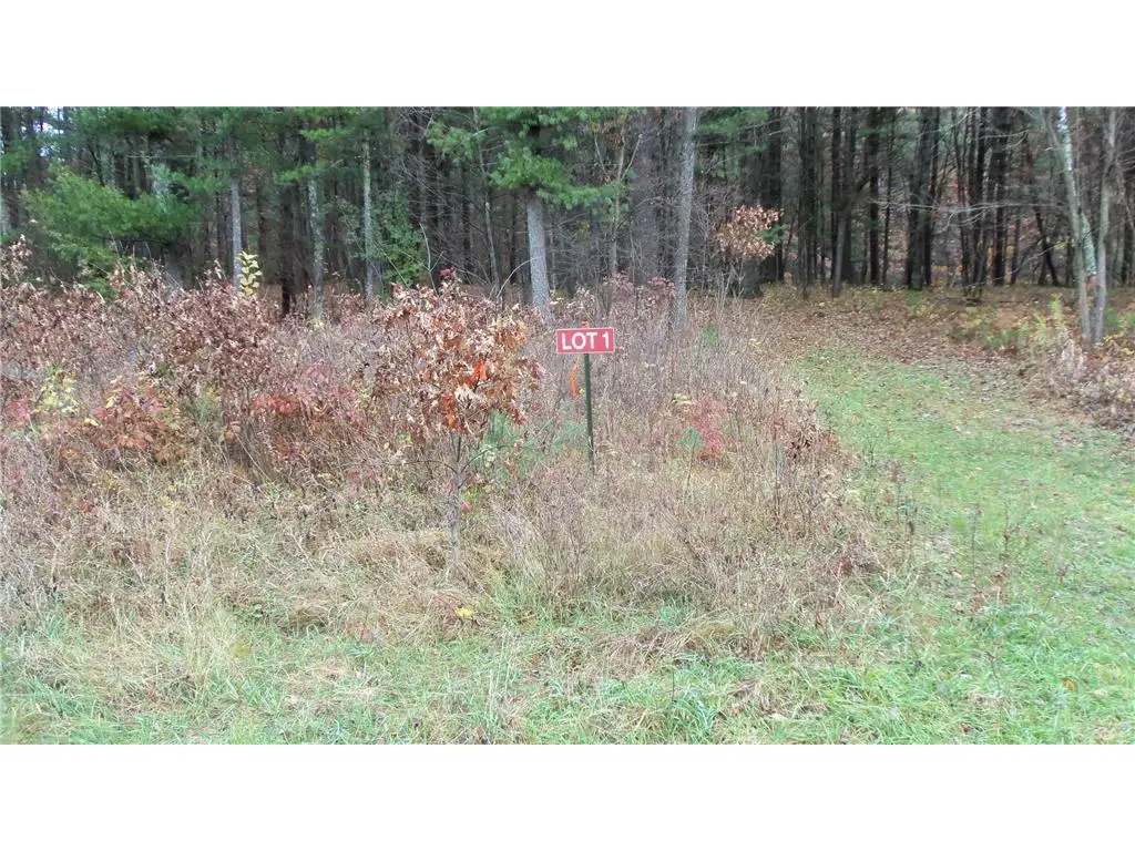 Lot 1 130th St, Siren, WI 54872 - Image #1