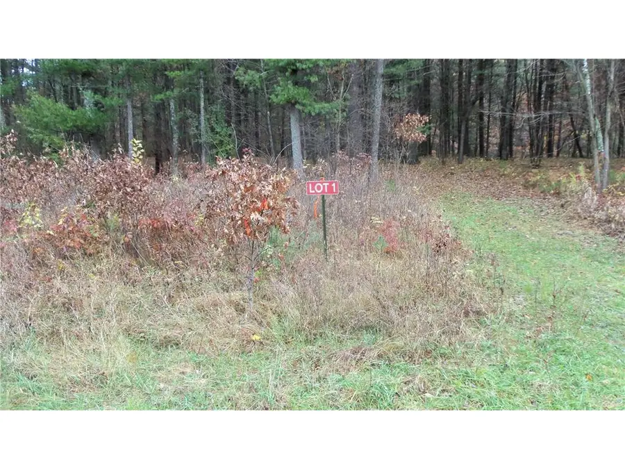 Lot 1 130th St, Siren, WI 54872 - Image #2