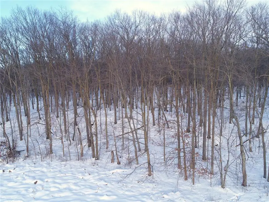 158AC 110th Street, Frederic, WI 54837 - Image #2