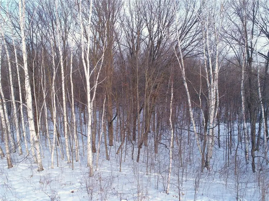 158AC 110th Street, Frederic, WI 54837 - Image #3