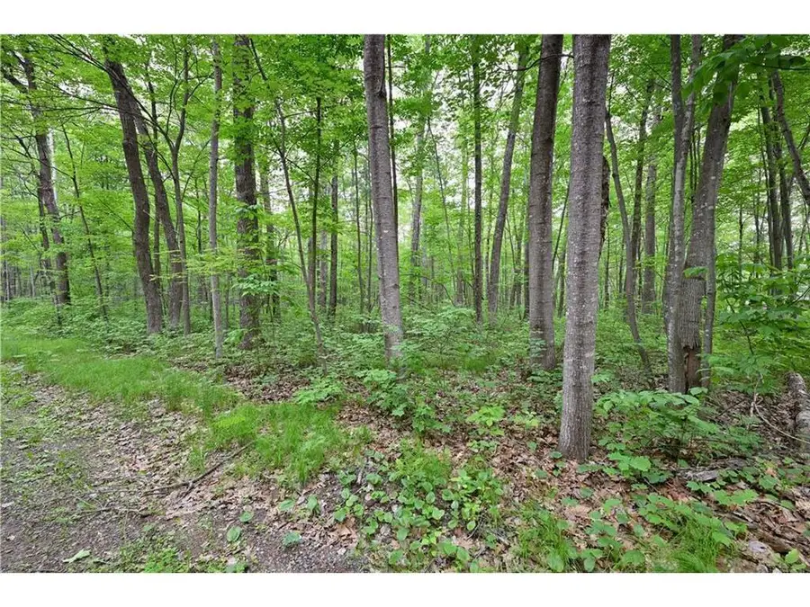Lot 2 Chippewa Avenue, Hayward, WI 54843 - #3