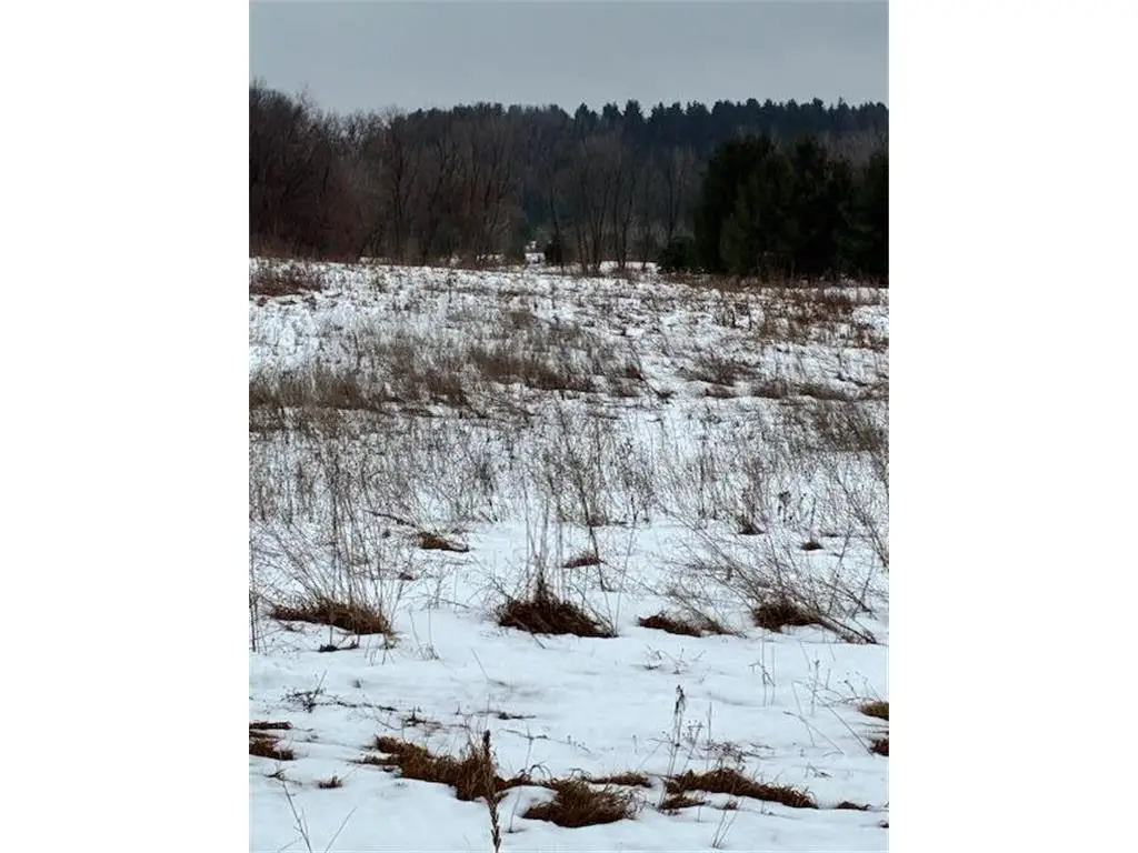 647 210th Avenue, Somerset, WI 54025 - Image #1