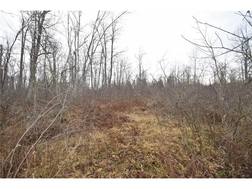 0 Cummings Road, Danbury, WI 54830 - Image #1