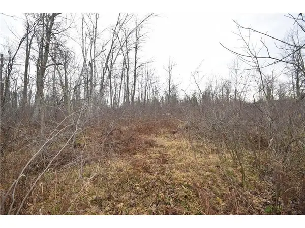 0 Cummings Road, Danbury, WI 54830