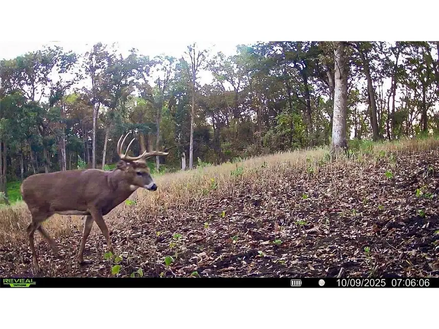 W27022 Whistle Pass Road, Trempealeau, WI 54661 - #2