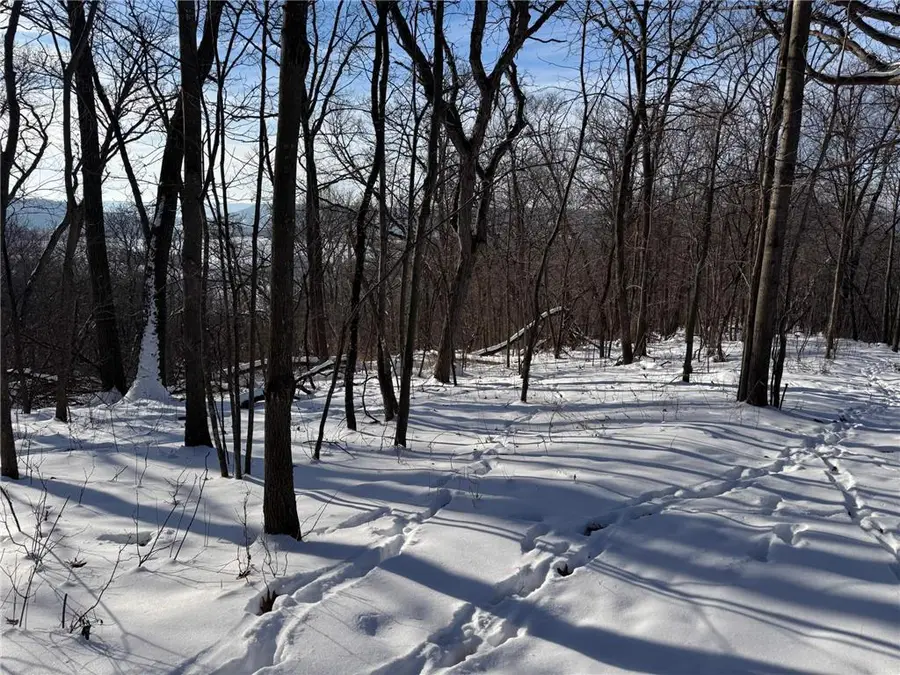 W27022 Whistle Pass Road, Trempealeau, WI 54661 - #3