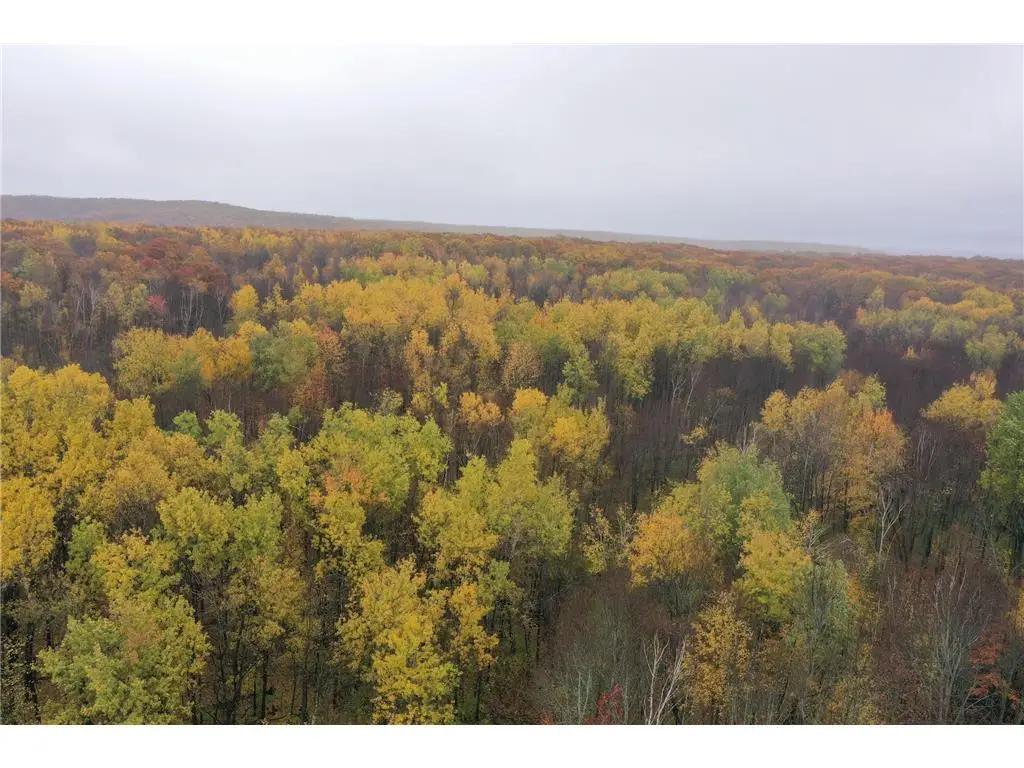 16XXX W County Road O, Weyerhaeuser, WI 54895 - #1