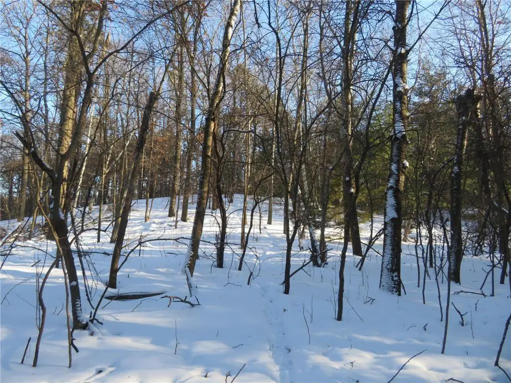 Lot 1 Lincoln Avenue, Amery, WI 54001 - #1