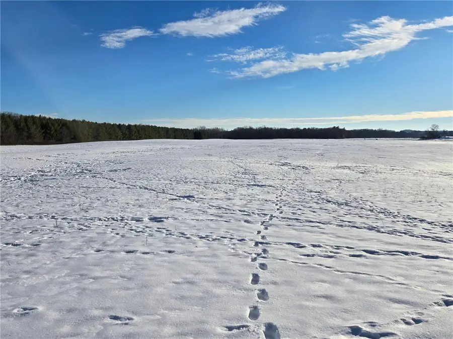 20.05 Acres County Road N, Wheeler, WI 54772 - #2