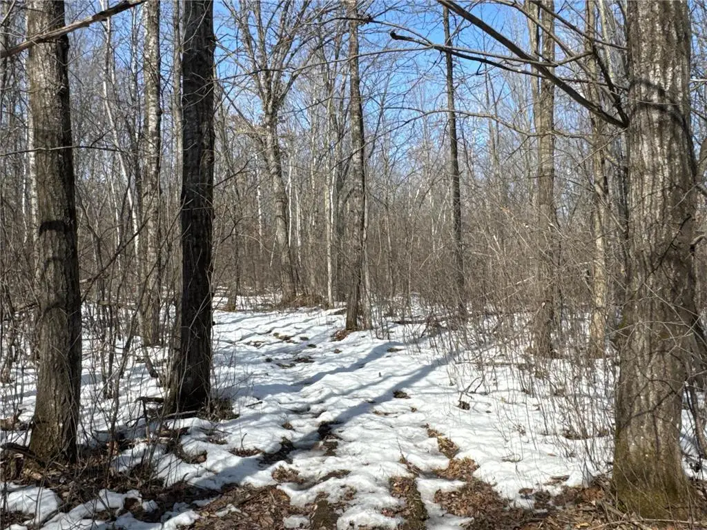 27XX 11th Avenue, Chetek, WI 54728 - #1