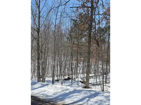Lots 10 & 11 Wintergreen Trail, Danbury, WI 54830