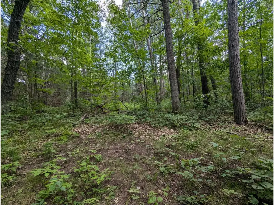Lot 3 Fosmo Drive, Webster, WI 54893 - #2