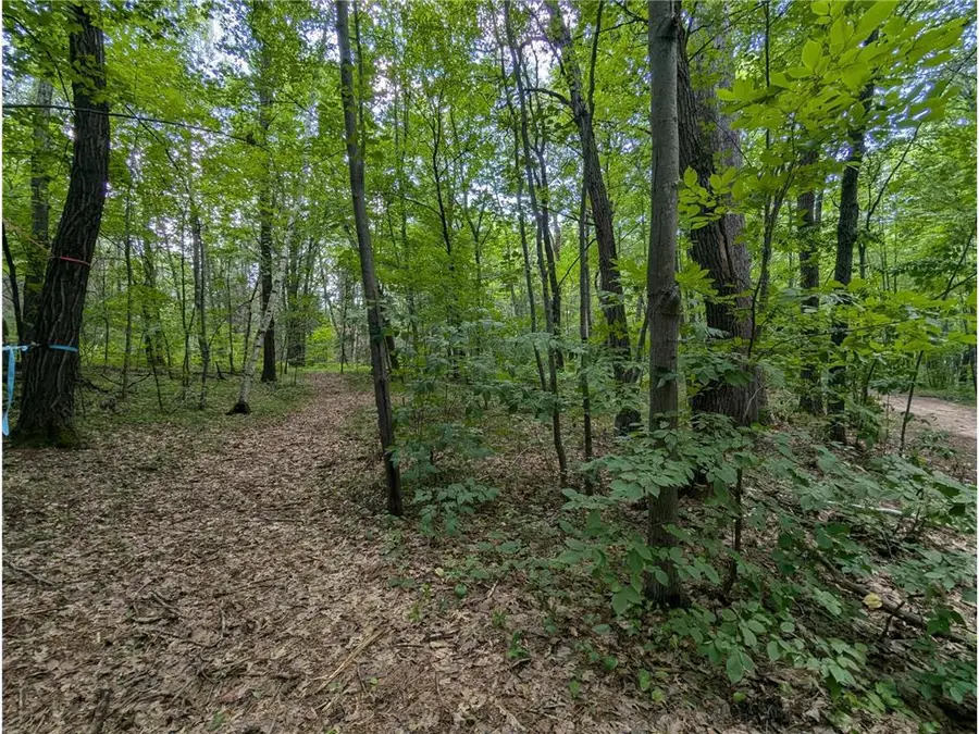 Lot 4 Fosmo, Webster, WI 54893 - #2
