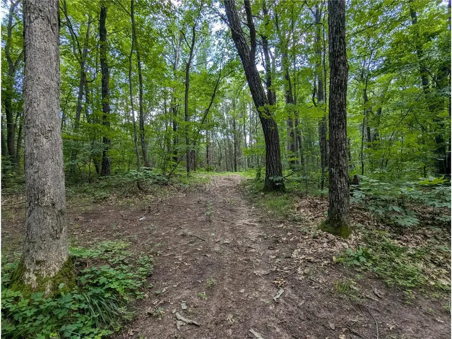 Lot 4 Fosmo, Webster, WI 54893 - #3