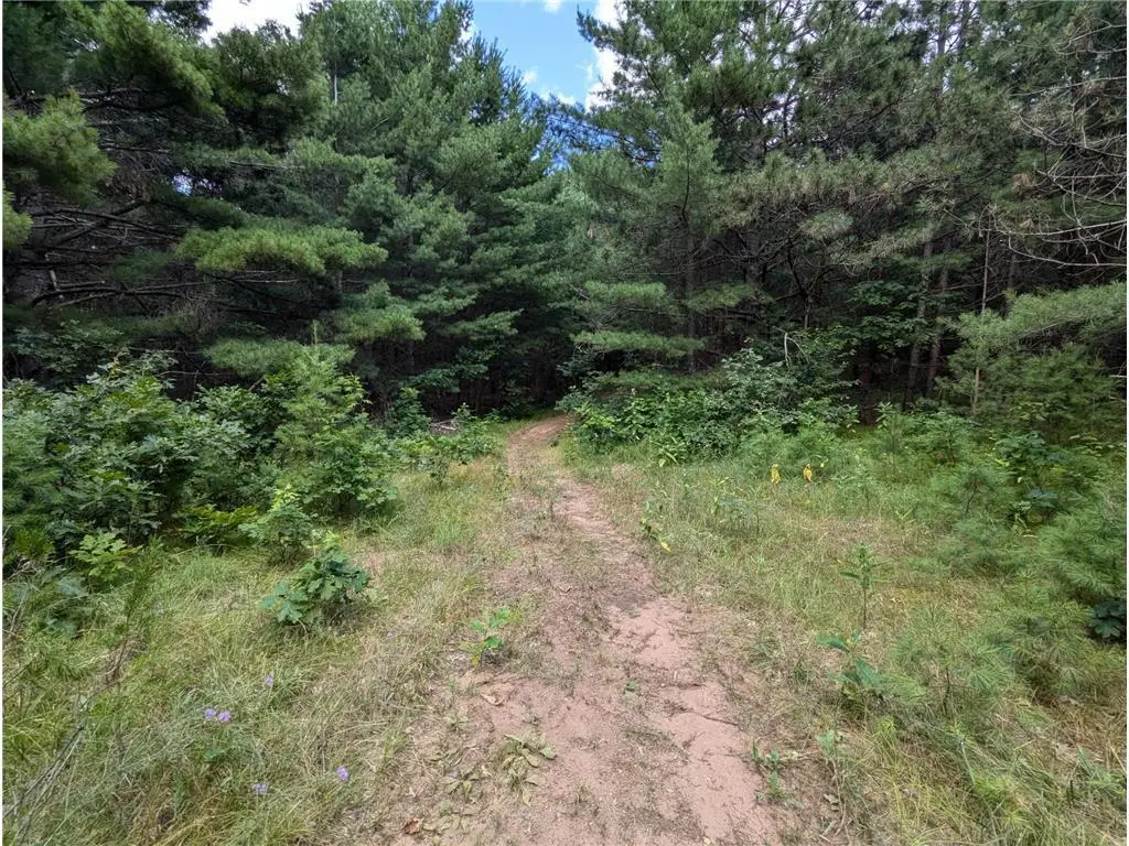 Lot 5 Fosmo Drive, Webster, WI 54893 - #1