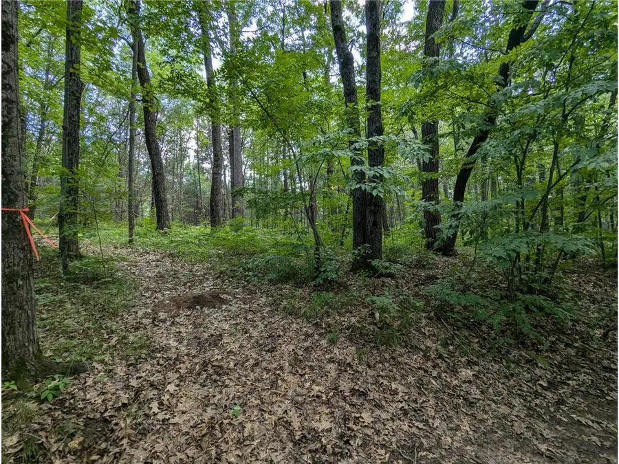 Lot 5 Fosmo Drive, Webster, WI 54893 - #3