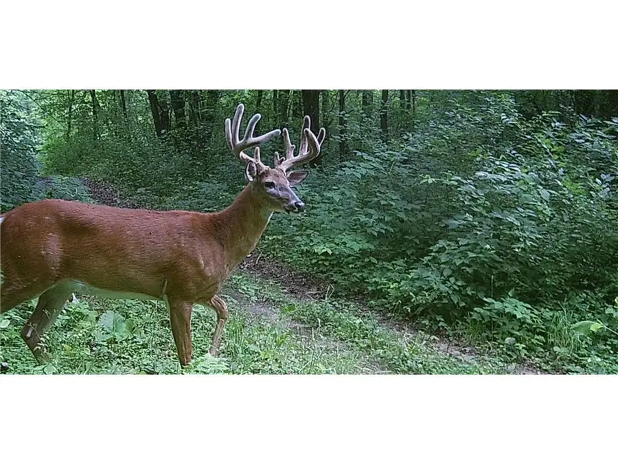 County Road M County Road M, Osceola, WI 54020 - #3