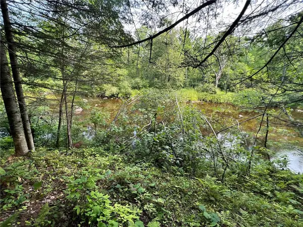 W8804 Timber Trail, Ladysmith, WI 54848