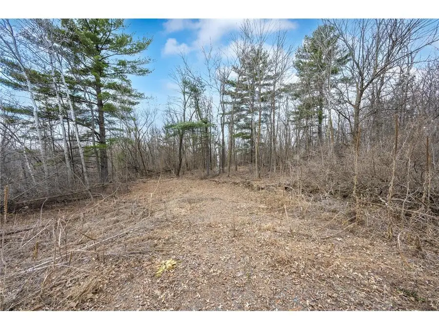 TBD Hwy 46, Balsam Lake, WI 54810 - #2