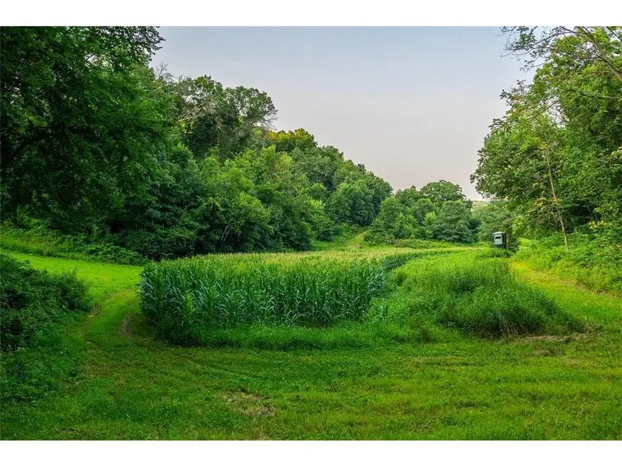TBD Cty Road S, Blair, WI 54616 - #2