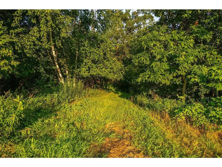 TBD Cty Road S, Blair, WI 54616 - #3