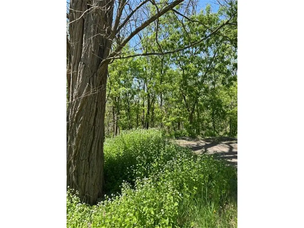 XXX Adams Street, Saint Croix Falls, WI 54024 - #1