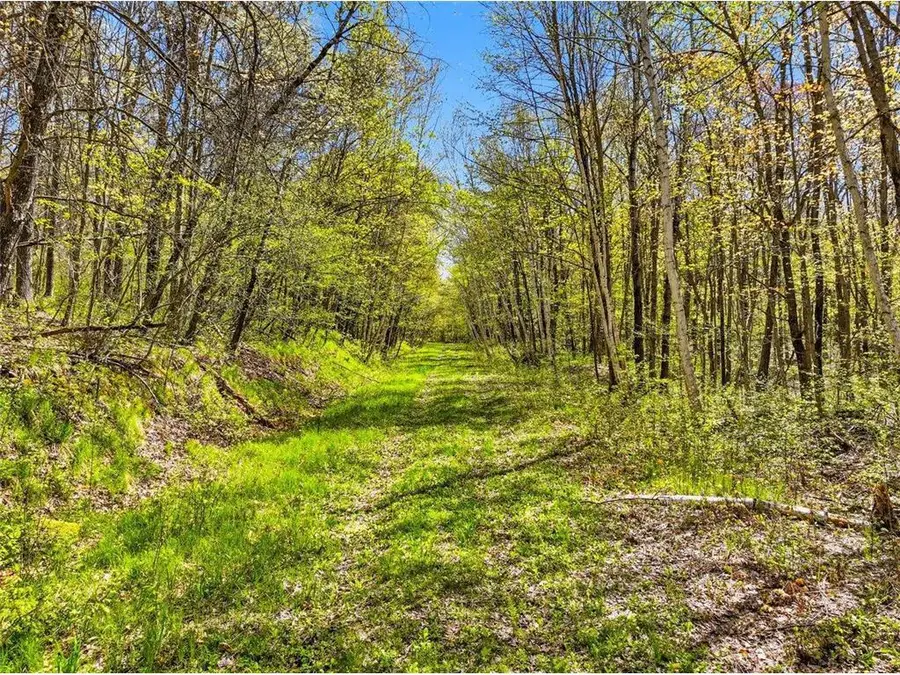 W6474 River Road, Trego, WI 54888 - #2
