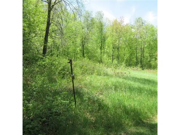 xxx 810th Street, Boyceville, WI 54751