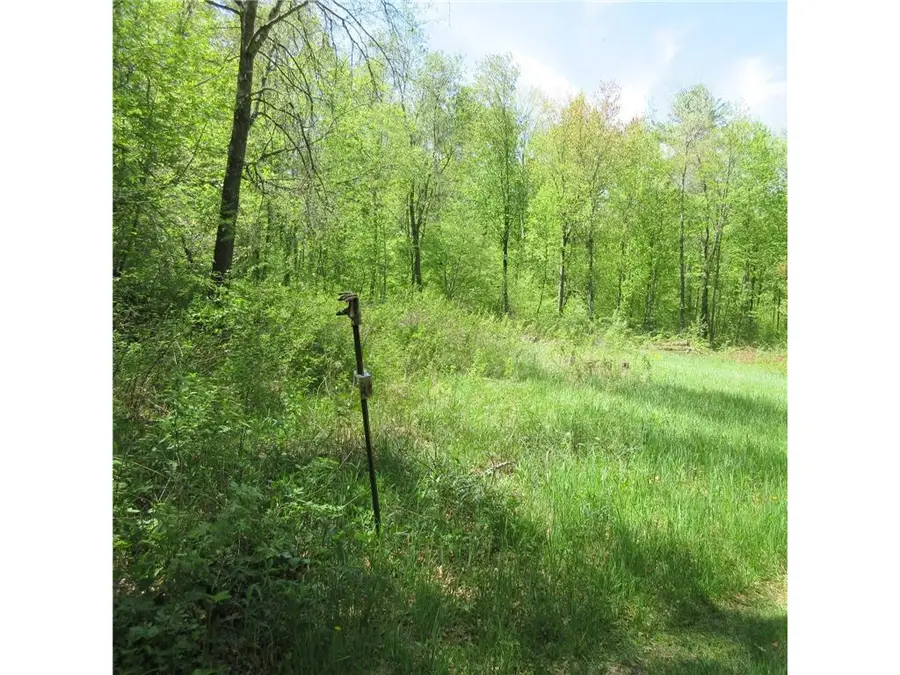 xxx 810th Street, Sherman, WI 54751 - #2