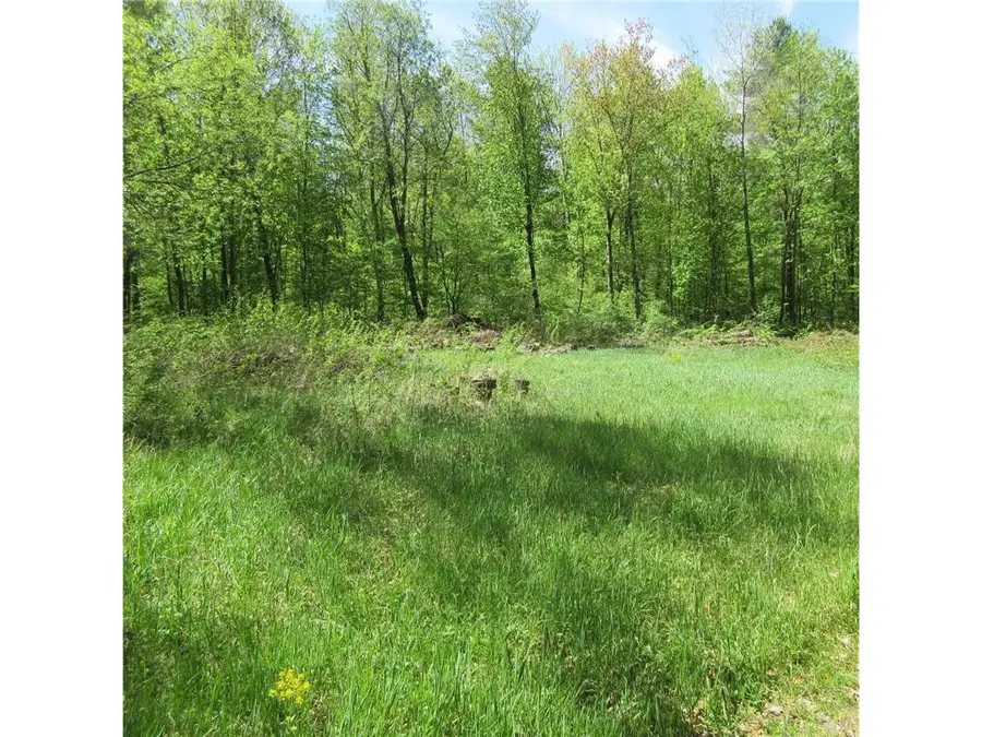 xxx 810th Street, Sherman, WI 54751 - #3