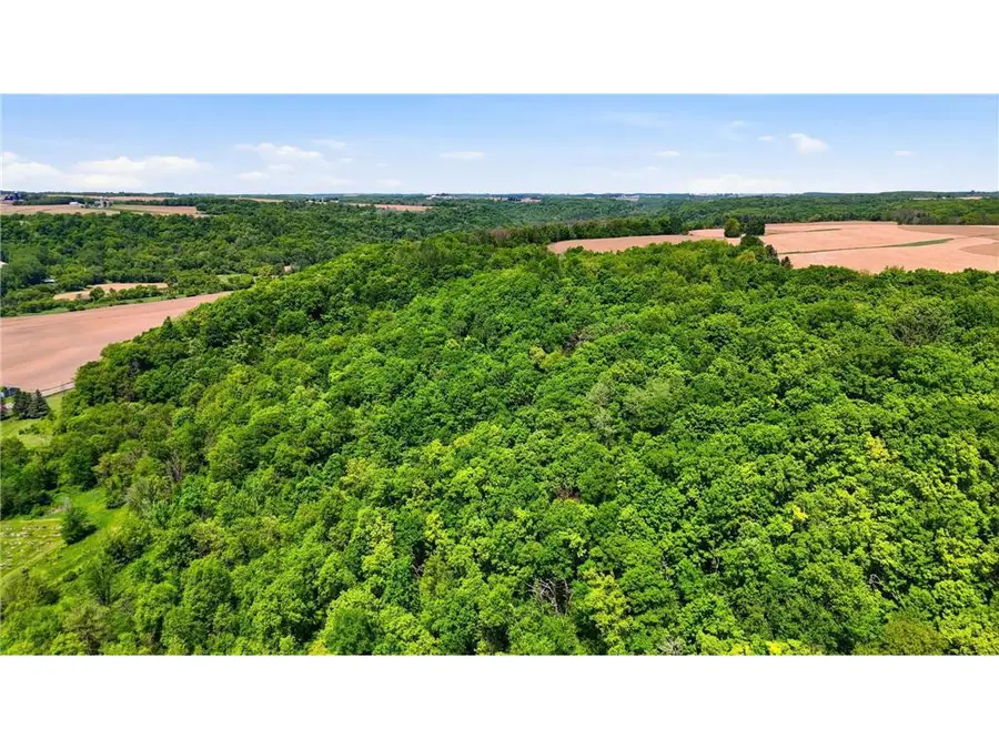 31 acres Cty Rd. S, Plum City, WI 54761 - #3