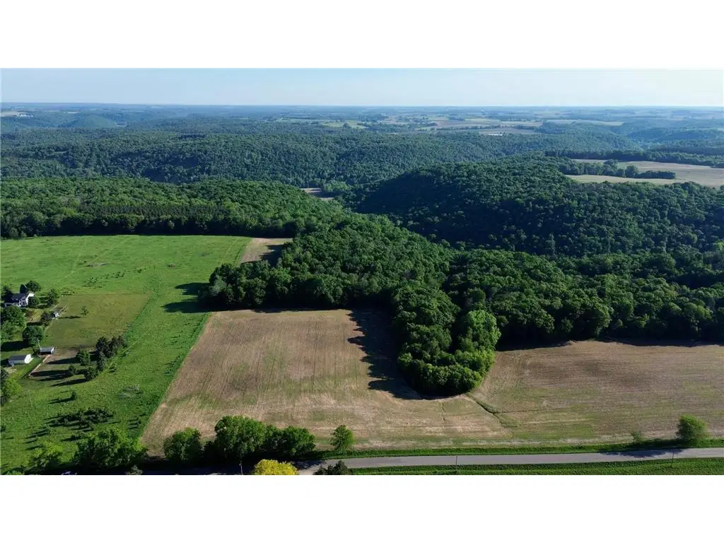 Lot 1 160th Ave, Maiden Rock, WI 54750 - #1