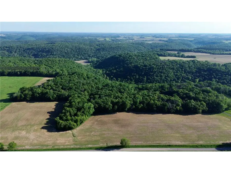 Lot 1 160th Ave, Maiden Rock, WI 54750 - #3