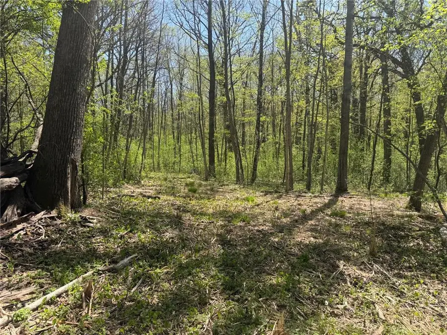 XXX State Hwy 46, Balsam Lake, WI 54810 - #2