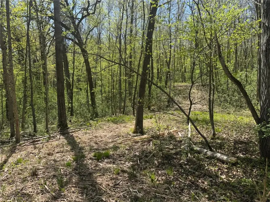 XXX State Hwy 46, Balsam Lake, WI 54810 - #3