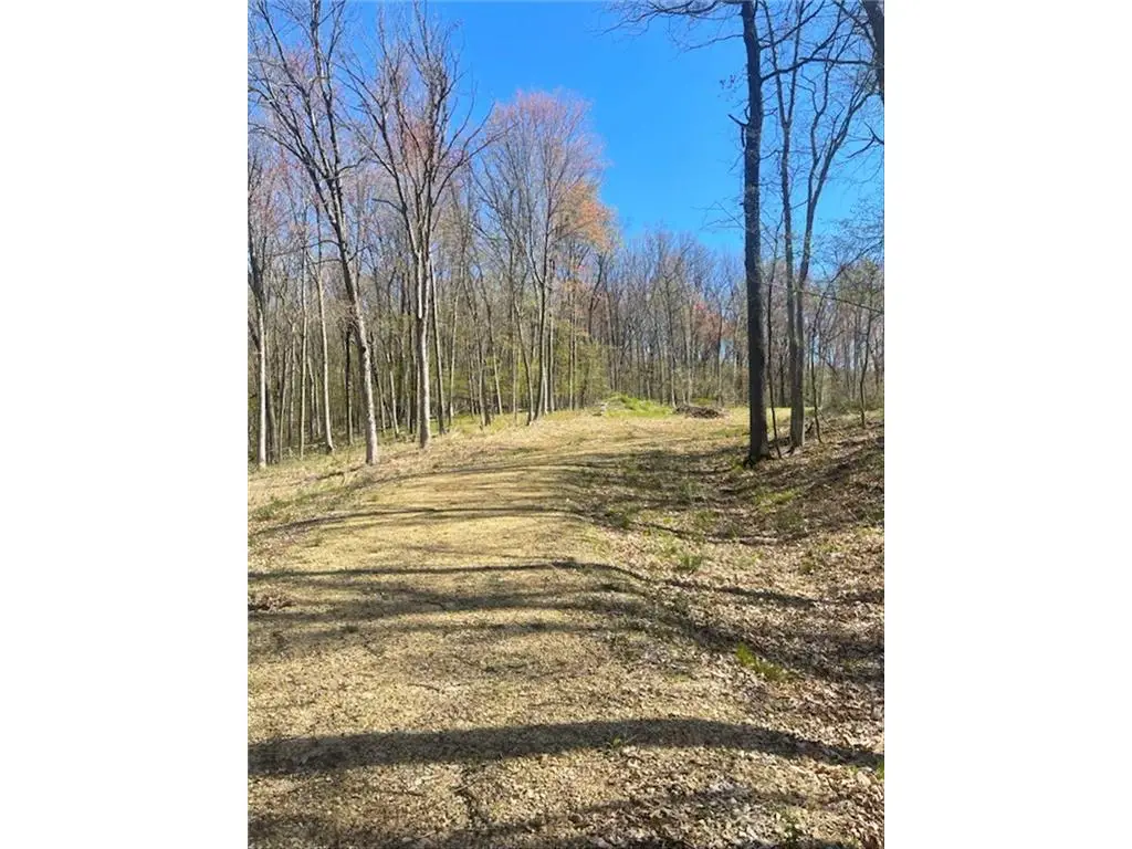 Lot's 4,5 & 6 Anderson Hill Lane, Boyceville, WI 54725 - #1